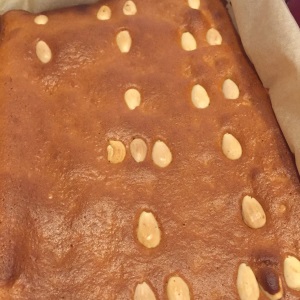 Honigkuchen Domino (3)