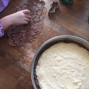 Russischer Zupfkuchen (11)