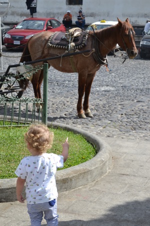 Antigua Guatemala (16)