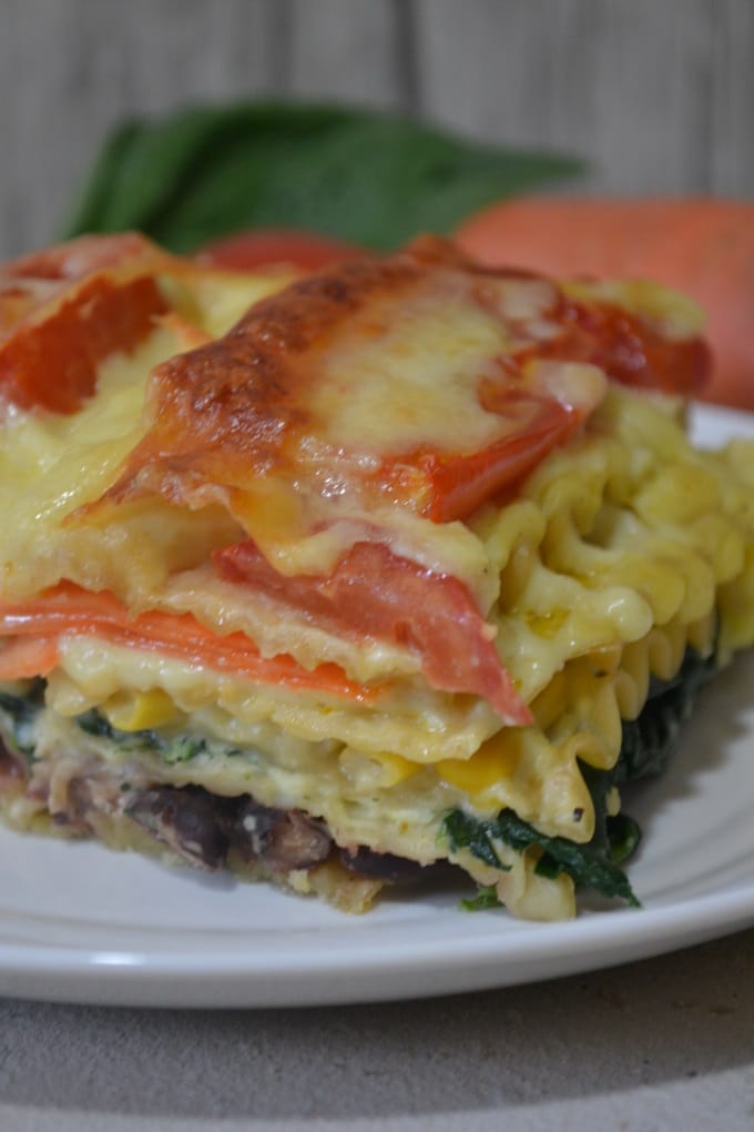 Regenbogen Gemüse Lasagne (8)