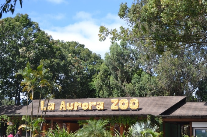 Zoo Aurora Guatemala (1)