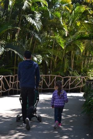 Zoo Aurora Guatemala (17)