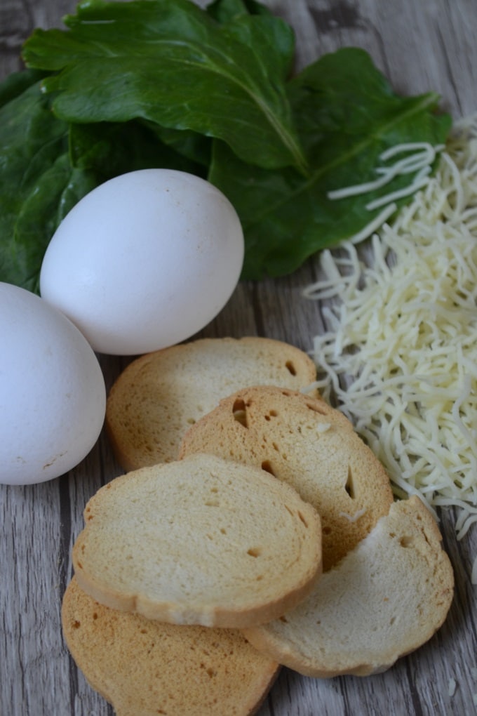 Spinat Käse Bällchen (1)