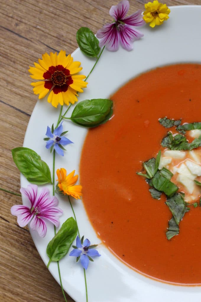 Tomaten-Mozzarella-Suppe