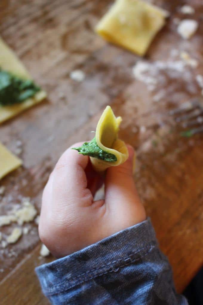 Ravioli mit Spinat-Frischkäse-Füllung