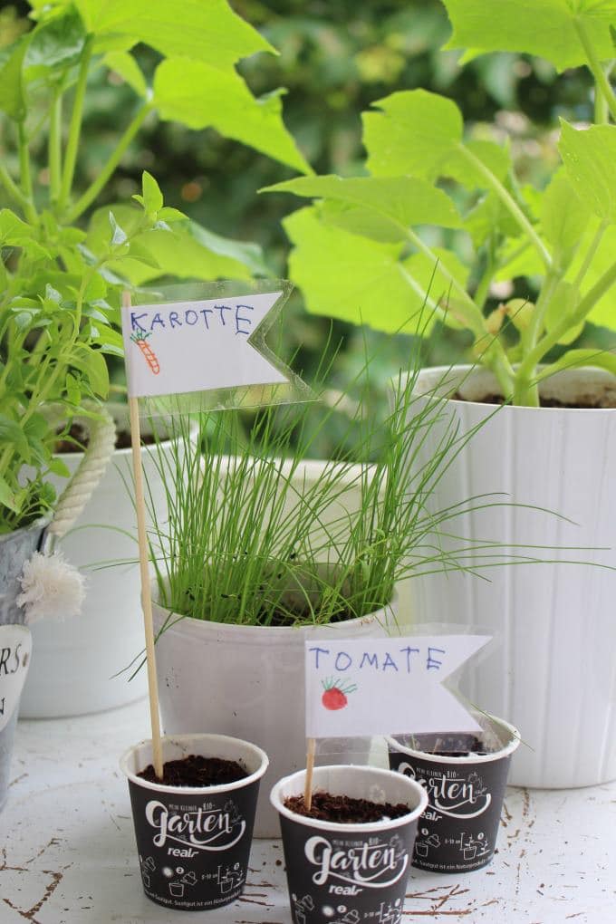 Sommerzeit ist bei uns Balkonzeit #meinkleinergarten (Werbung)