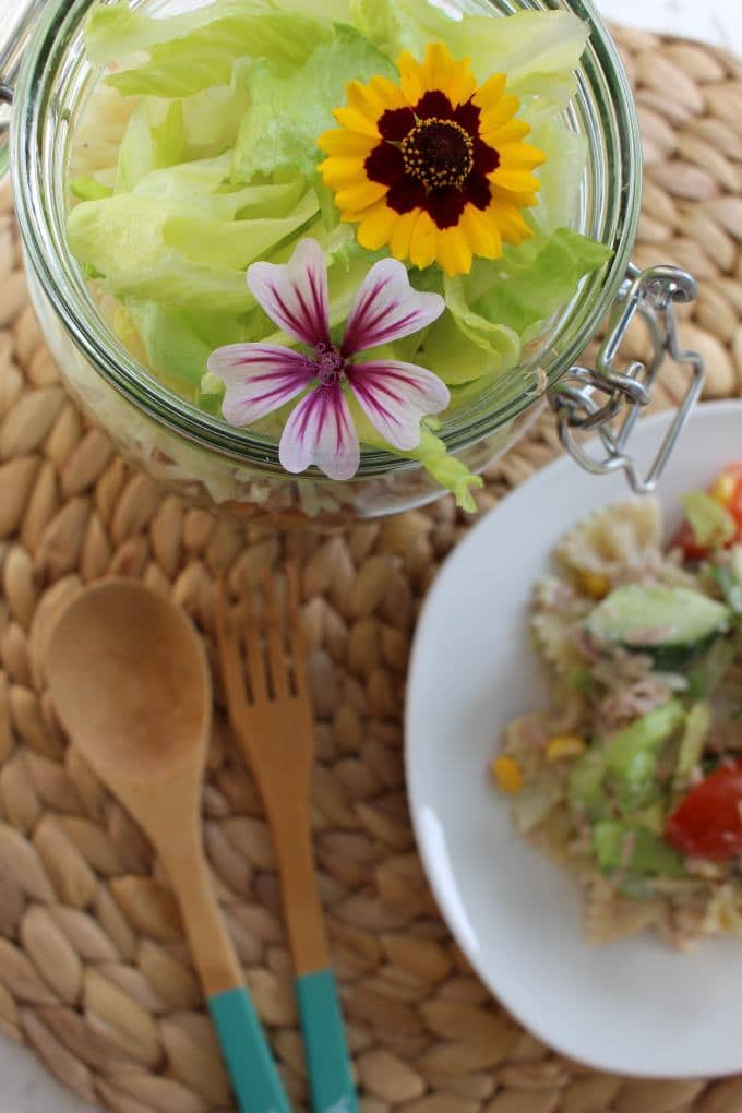 Nudel-Thunfisch-Salat