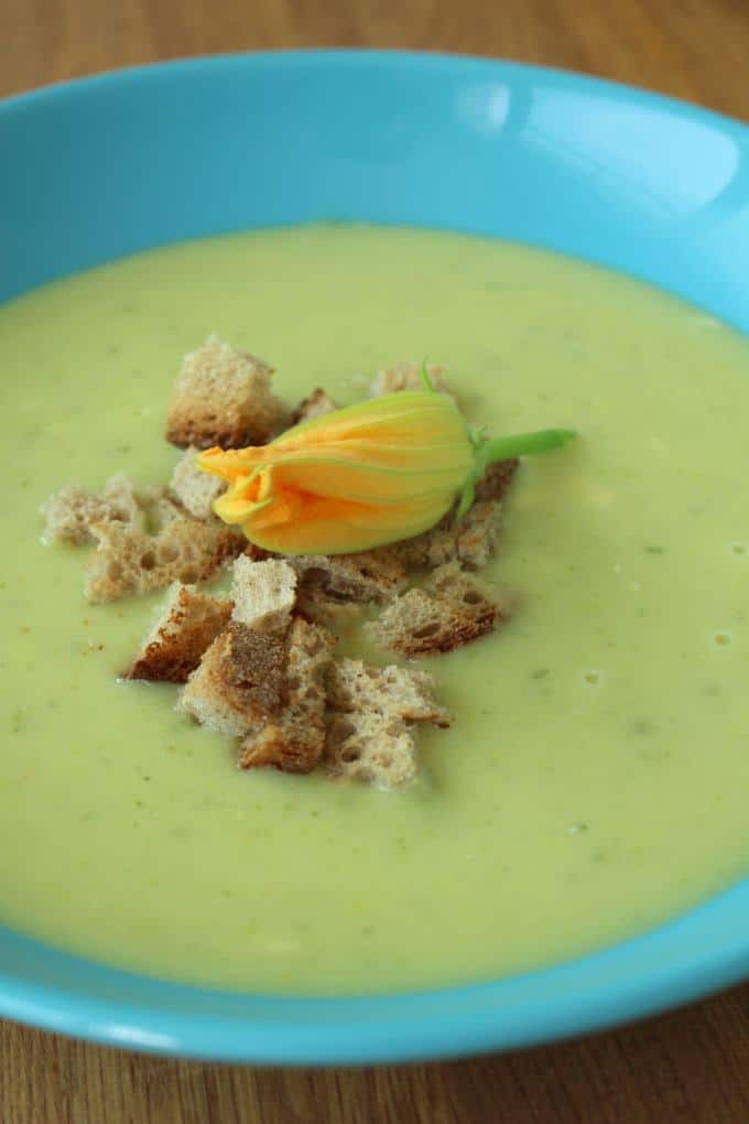 Zucchinicremesuppe mit Croutons - ein leckeres Familiengericht