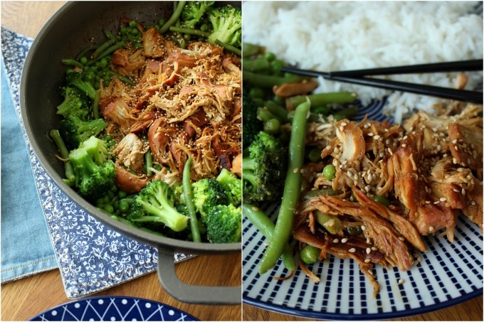 Pulled Teriyaki Chicken