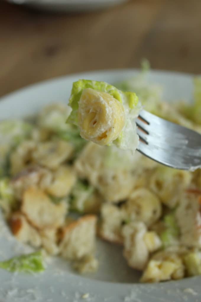 Caesar Tortellini Salat