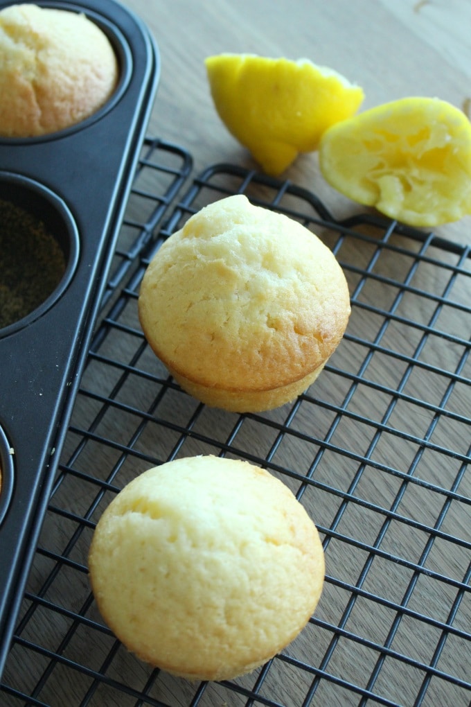 Zitronen-Buttermilch-Muffins