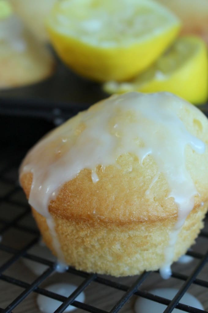 Zitronen-Buttermilch-Muffins