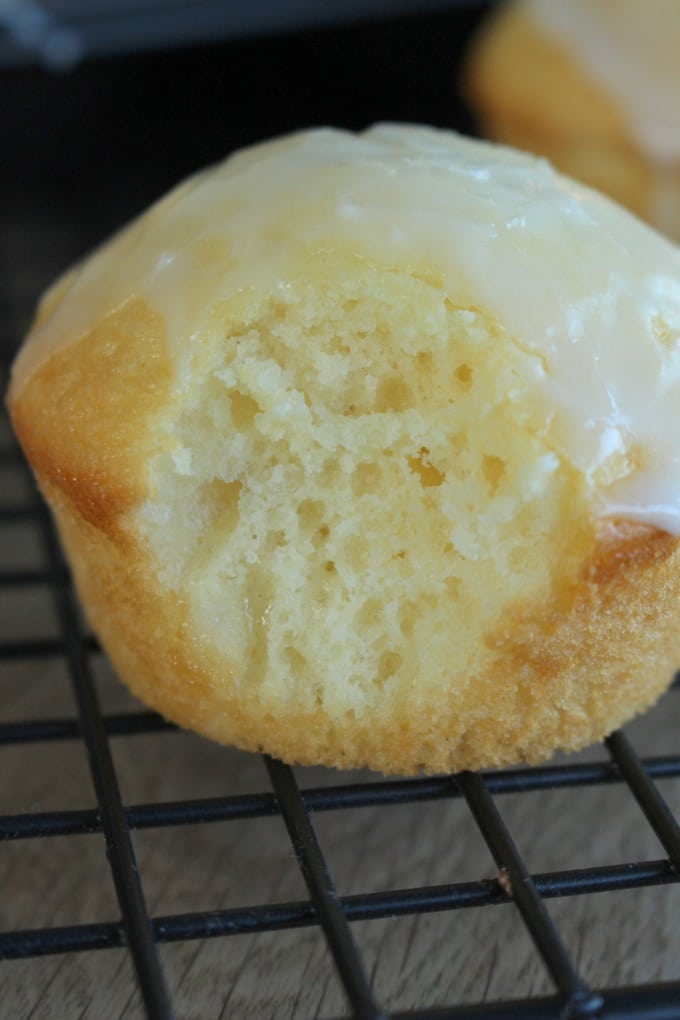 Zitronen-Buttermilch-Muffins zum sofortigen Vernaschen