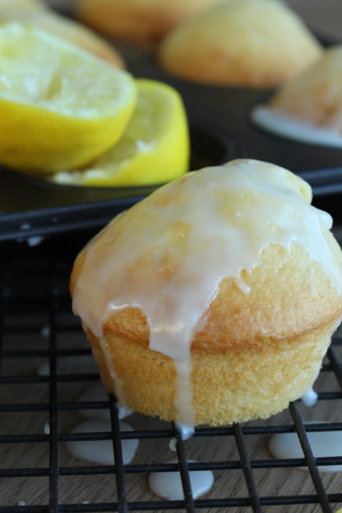 Zitronen-Buttermilch-Muffins zum sofortigen Vernaschen