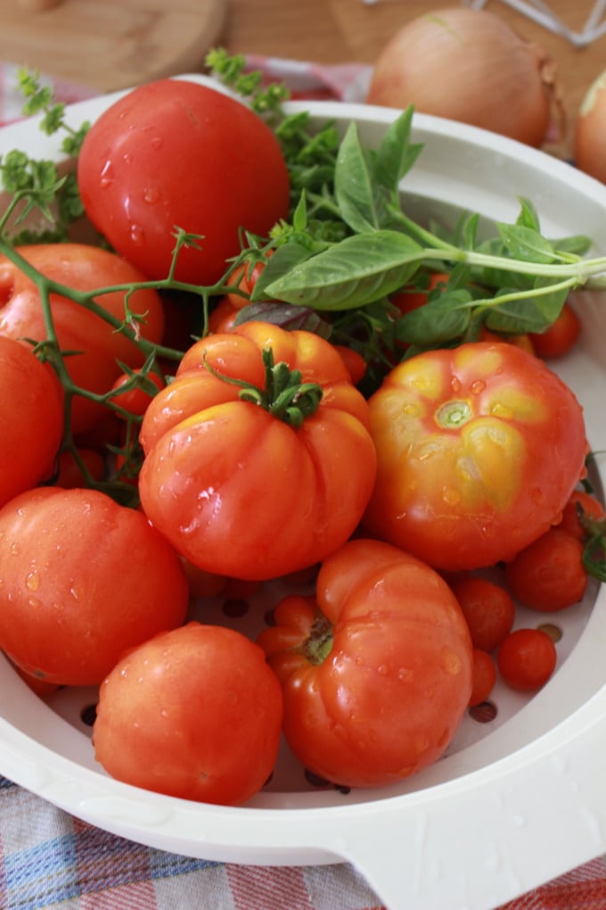 Pasta mit frischer Tomatensauce