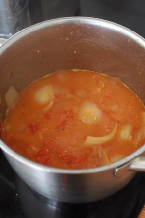 Pasta mit frischer Tomatensauce