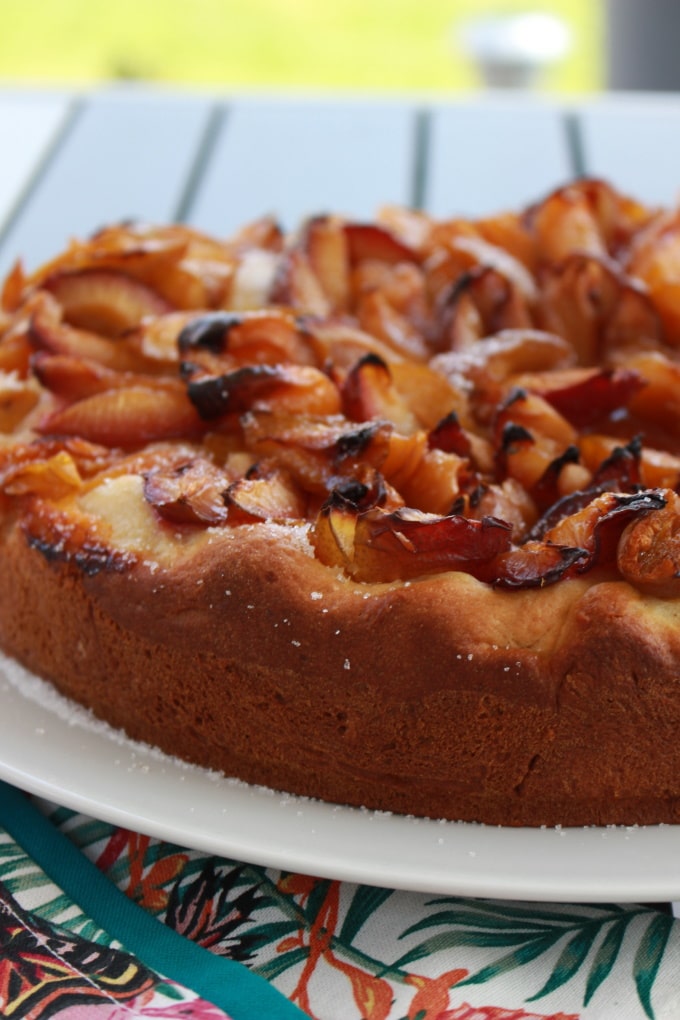 Leckerer Hefekuchen mit frischen Pflaumen aus dem Garten