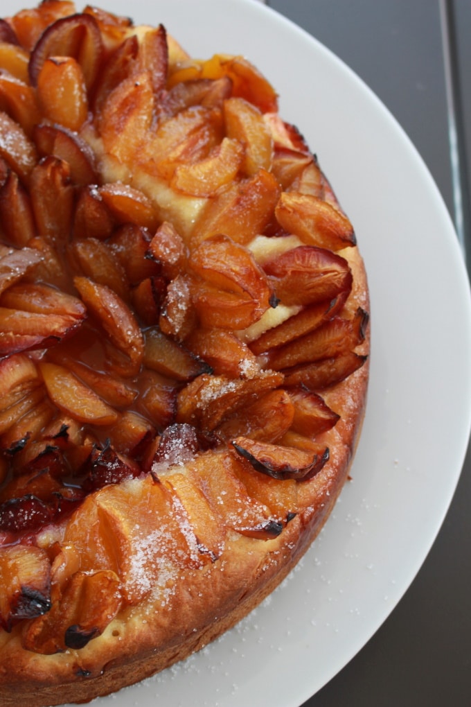 Leckerer Hefekuchen mit frischen Pflaumen aus dem Garten