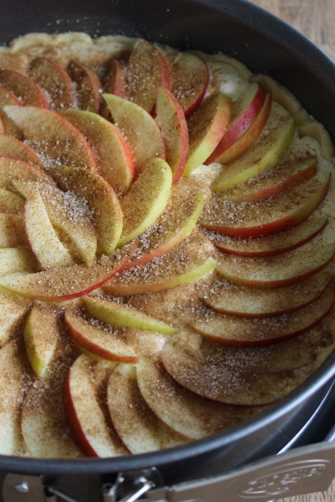 Apfel-Quark-Kuchen